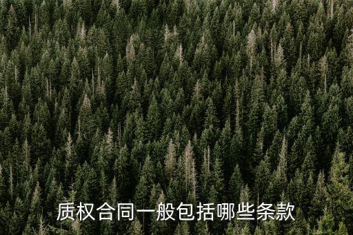 質(zhì)權(quán)合同適用什么法律，質(zhì)權(quán)合同一般包括哪些條款