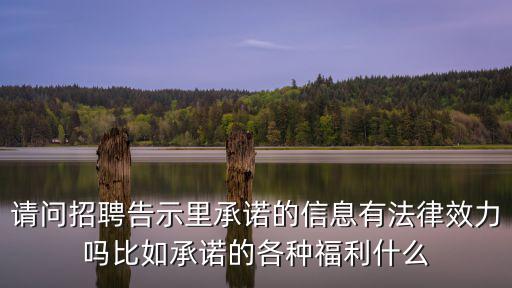 請(qǐng)問招聘告示里承諾的信息有法律效力嗎比如承諾的各種福利什么