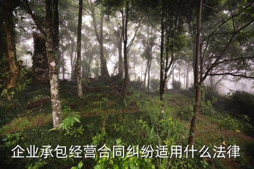 承攬合同糾紛適用什么法律，承攬合同糾紛能適用建設(shè)工程合同的有關(guān)法律規(guī)定嗎
