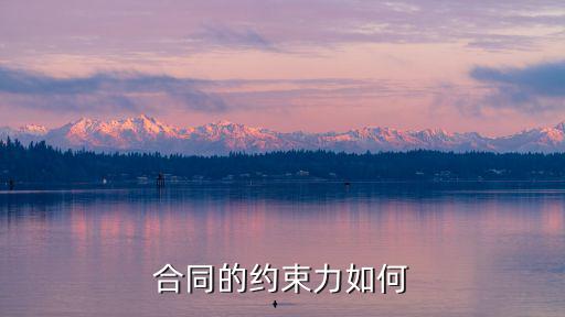 合同法律約束力是什么意思，合同的約束力