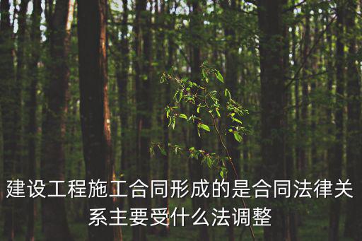 建設(shè)工程施工合同形成的是合同法律關(guān)系主要受什么法調(diào)整
