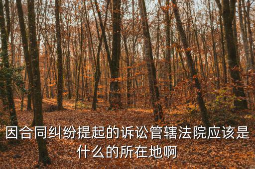 因合同糾紛提起的訴訟管轄法院應該是什么的所在地啊