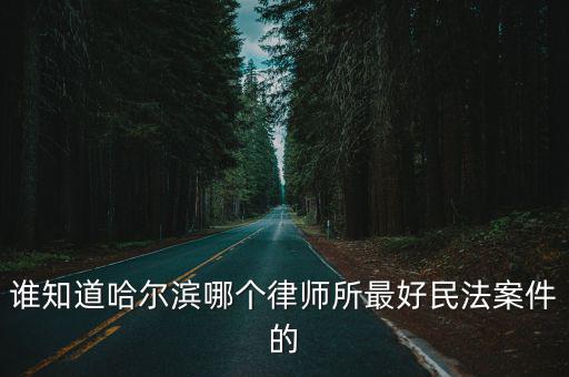誰知道哈爾濱哪個律師所最好民法案件的