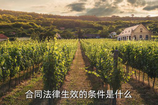 合同法律生效的條件是什么