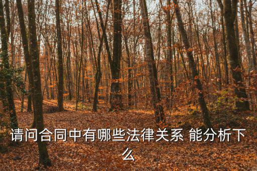 請問合同中有哪些法律關(guān)系 能分析下么