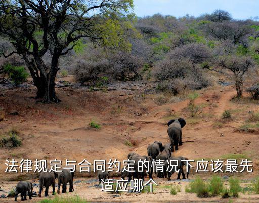 法律規(guī)定與合同約定的情況下應(yīng)該最先適應(yīng)哪個