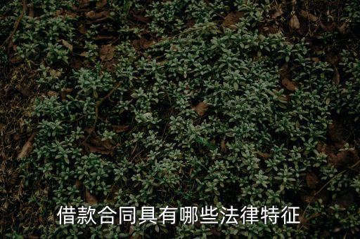 借款合同具有哪些法律特征