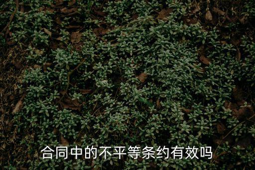 合同中的不平等條約有效嗎