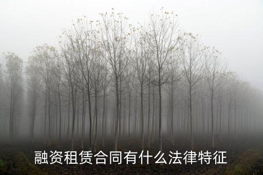 融資過程中有哪些法律合同，融資租賃合同約定涉及的法律法規(guī)有哪些