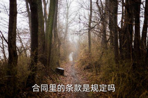 合同里的條款是規(guī)定嗎