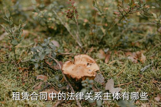 合同中有什么法律關(guān)系主體，合同中法律關(guān)系的主體與客體如何區(qū)分55