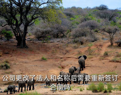 為什么要重新簽署合同法律規(guī)定，公司更改了法人和名稱后需要重新簽訂合同嗎
