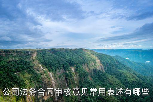 合同中的法律審核什么是，公司法務(wù)合同審核意見常用表述有哪些