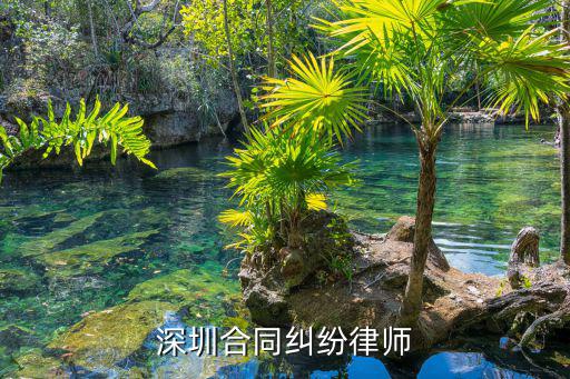 深圳合同糾紛律師