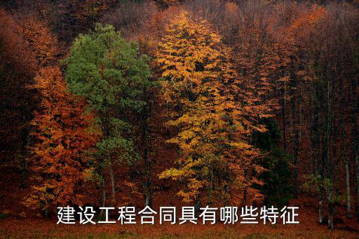建設工程合同具有哪些特征