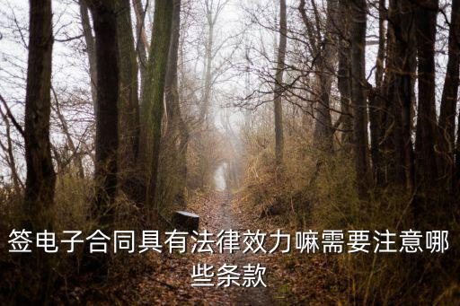 電子合同具有哪個法律效力，簽電子合同具有法律效力嘛需要注意哪些條款