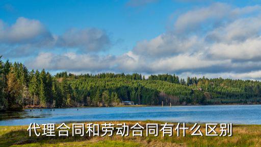 代理合同和勞動合同有什么區(qū)別