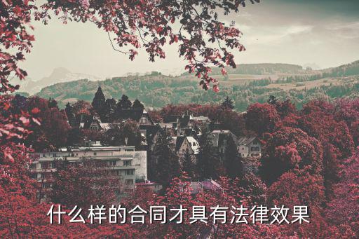 什么樣的合同才具有法律效果