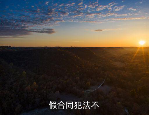 假合同犯法不