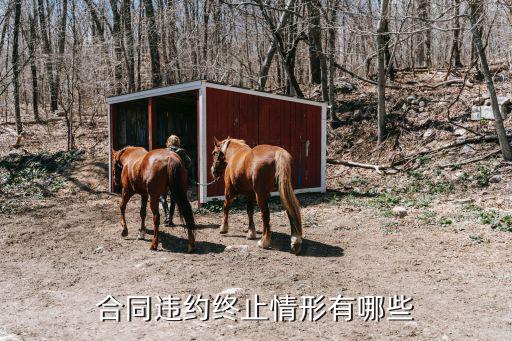 終止合同的法律情形是什么，法定勞動合同終止的情形有哪些