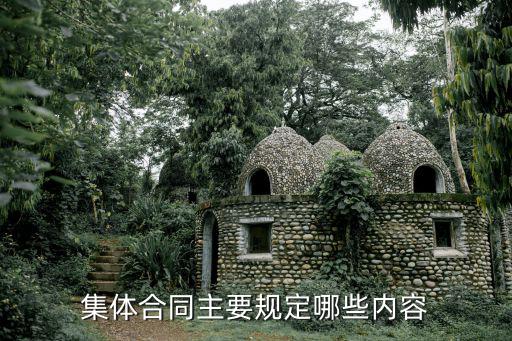 集體合同主要規(guī)定哪些內(nèi)容