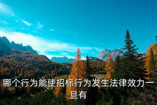 招投標(biāo)合同受哪個法律約束，哪個行為能使招標(biāo)行為發(fā)生法律效力一旦有