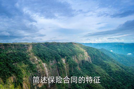 簡(jiǎn)述保險(xiǎn)合同的特征