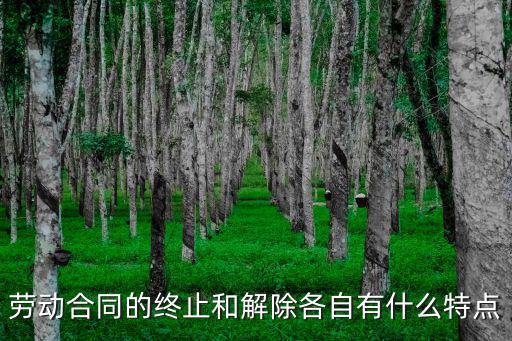 勞動(dòng)合同的終止和解除各自有什么特點(diǎn)