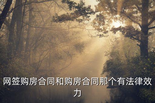房產(chǎn)和合同哪個(gè)有法律效益，網(wǎng)簽購(gòu)房合同和購(gòu)房合同那個(gè)有法律效力