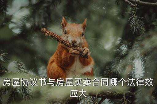 房屋協(xié)議書(shū)與房屋買(mǎi)賣(mài)合同哪個(gè)法律效應(yīng)大