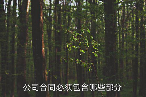 公司合同必須包含哪些部分