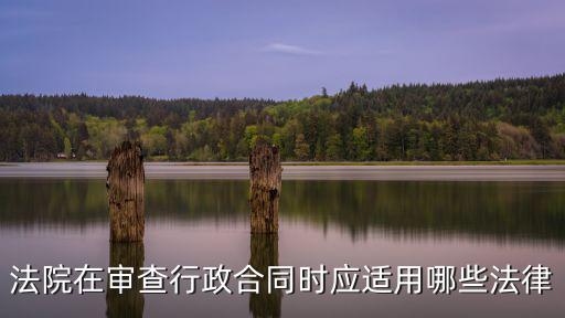 法院在審查行政合同時應(yīng)適用哪些法律