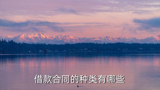 法律借款合同有哪些，借款合同附圖請法律專業(yè)人士給予解答感謝