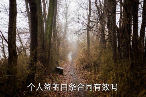 個人簽的白條合同有效嗎