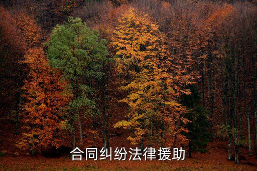 合同糾紛法律援助