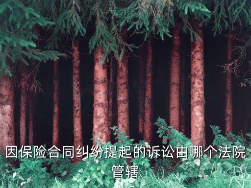 因保險(xiǎn)合同糾紛提起的訴訟由哪個(gè)法院管轄