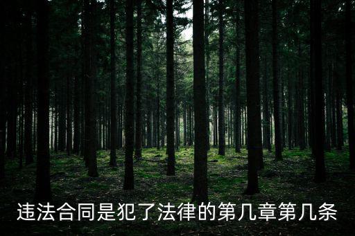 違法合同是犯了法律的第幾章第幾條