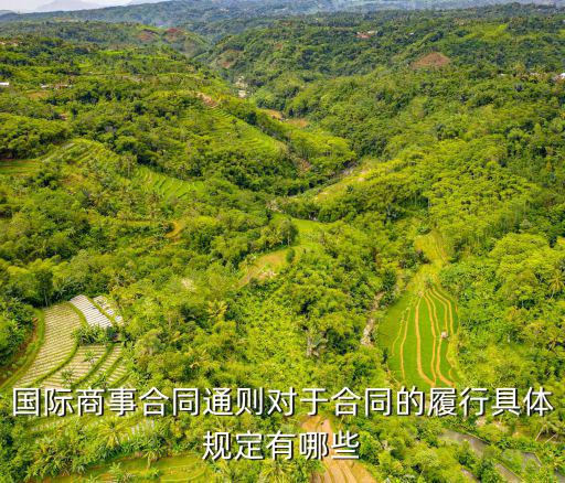 國際商事合同通則對于合同的履行具體規(guī)定有哪些