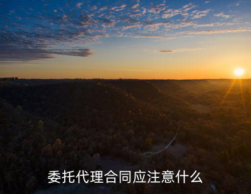 委托代理合同應(yīng)注意什么