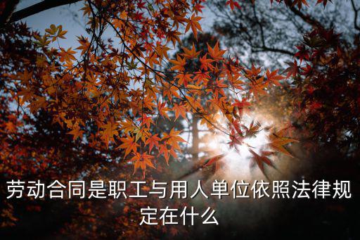 勞動(dòng)合同是職工與用人單位依照法律規(guī)定在什么