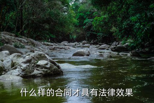 什么樣的合同才具有法律效果