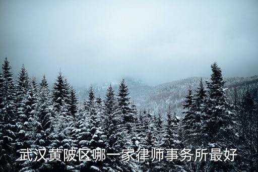 武漢黃陂區(qū)哪一家律師事務(wù)所最好