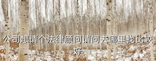 公司想請個法律顧問請問去哪里找比較好