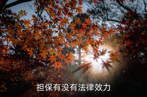 擔(dān)保有沒(méi)有法律效力