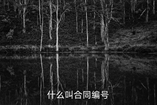 什么叫合同編號