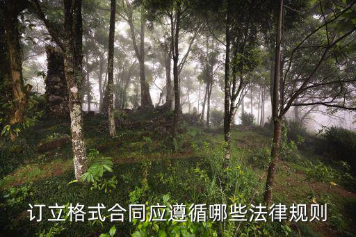 合同遵循哪個法律，簽合同遵守什么法律