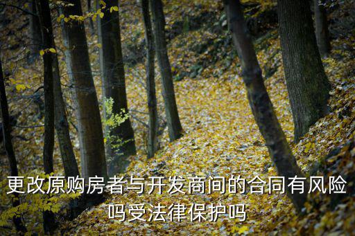 更改原購房者與開發(fā)商間的合同有風(fēng)險嗎受法律保護嗎