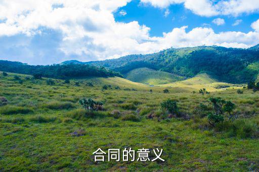 合同的意義