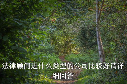 法律顧問進(jìn)什么類型的公司比較好請?jiān)敿?xì)回答