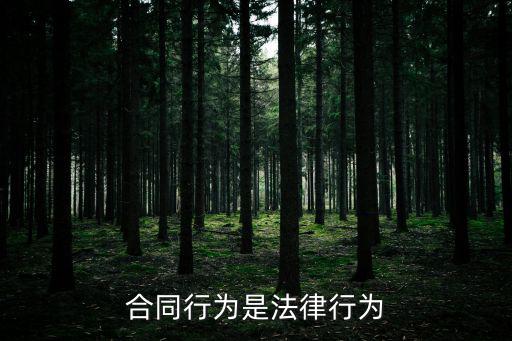 合同當(dāng)事人什么的法律行為，合同行為是法律行為